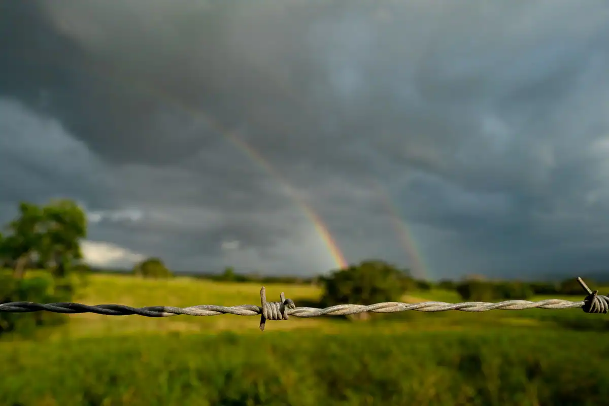 Curcubeu peste un câmp verde sub un cer de furtună