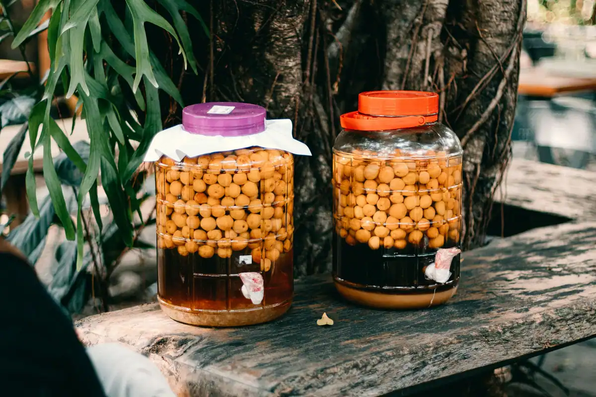 Borcane cu fructe conservate, produse ale fermentației